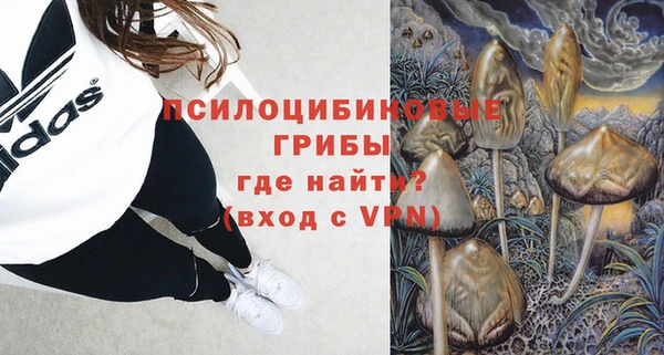 амф Нязепетровск