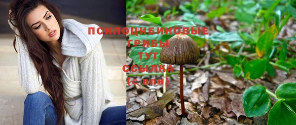 mdma Няндома