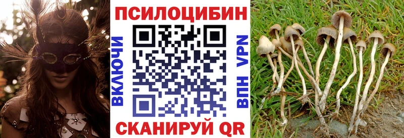 наркота  Иноземцево  KRAKEN вход  Псилоцибиновые грибы GOLDEN TEACHER 