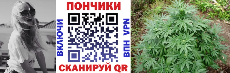блэк спрут зеркало Иноземцево Марихуана SATIVA & INDICA
